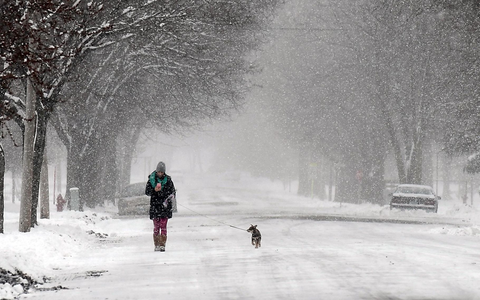 Snowstorm